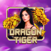 Dragon Tiger arena plus app live casino